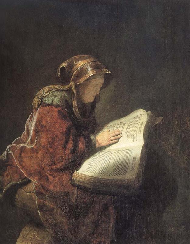 Rembrandt van rijn The Prophetess Anna France oil painting art